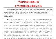 蛇年第一案：郑永刚尸骨未寒杉杉集团被三家银行申请破产重整，孤儿寡母太难了！