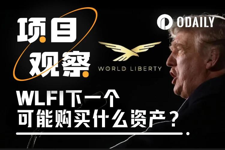 特朗普家族项目WLFI接下来可能买入哪些资产？