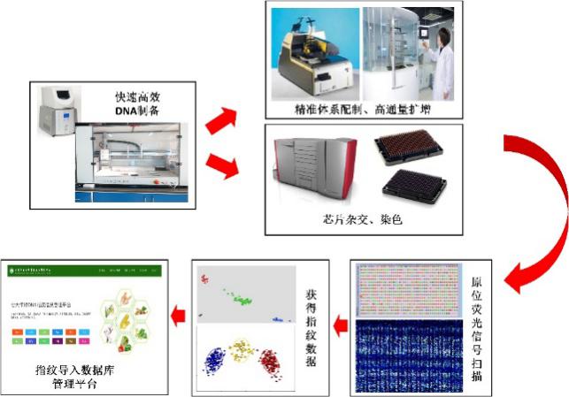 德商银行：德国国债利率走低 预计将继续受到追捧